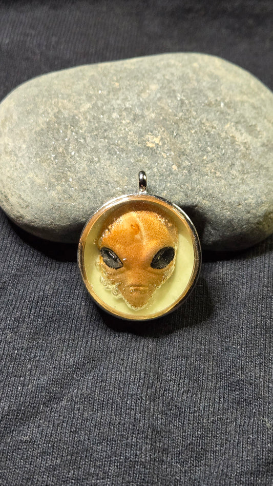 Preserved Alien head Pendant